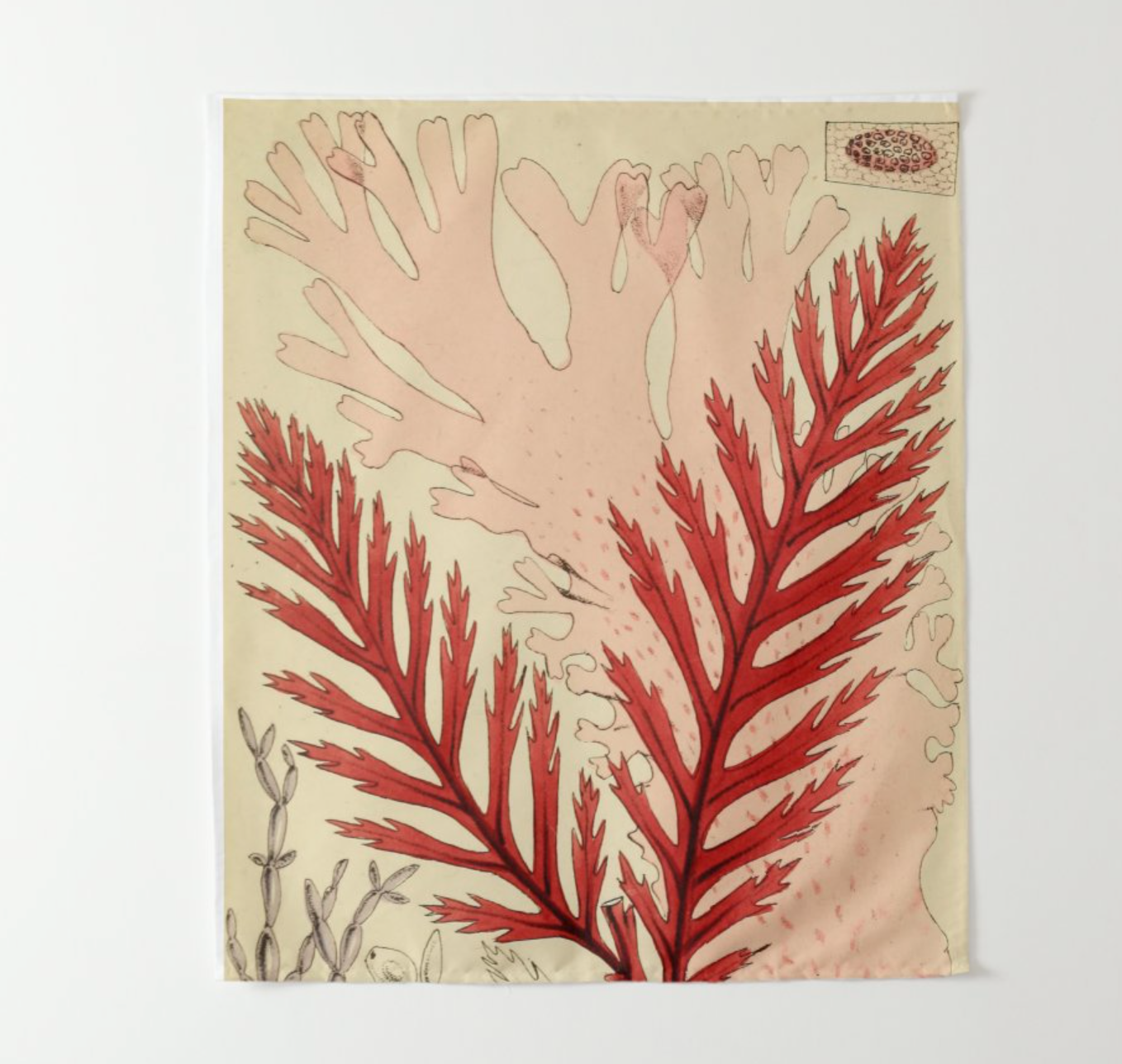 Fabric botanical wall tapestry - Vintage Coral Detail