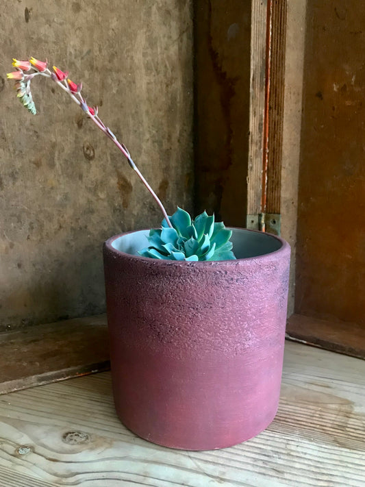 Hand painted Vintage pot with succulent