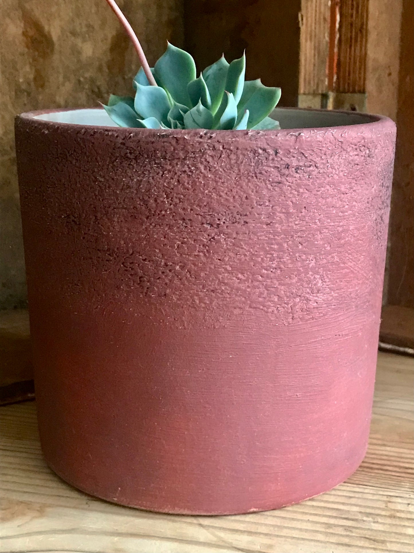 Hand painted Vintage pot with succulent