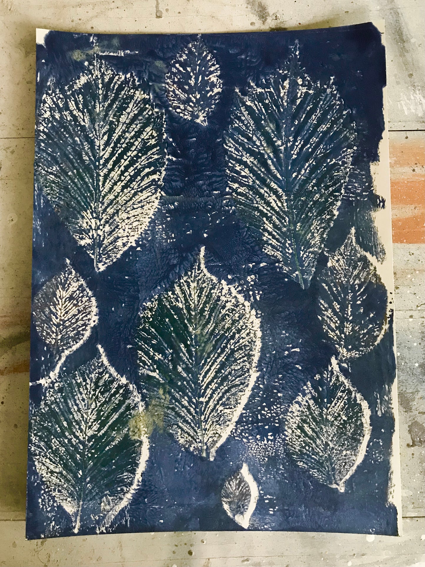 Leaves Art Print (from Original Botanical Monoprint)