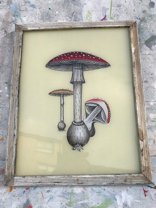 Medium Vintage glass painting of a Fly agaric mushroom in a beautiful original frame