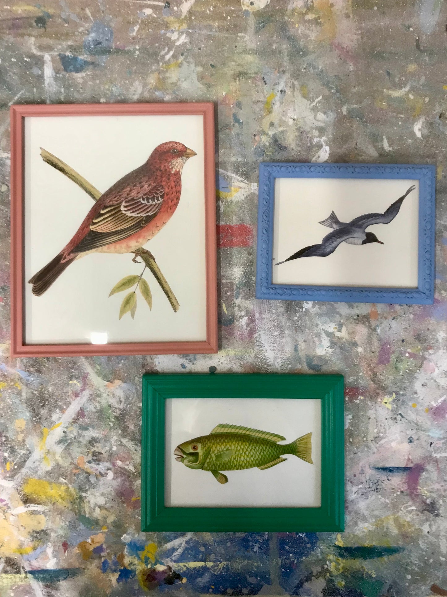Gallery wall vintage botanical illustration prints in painted vintage frames
