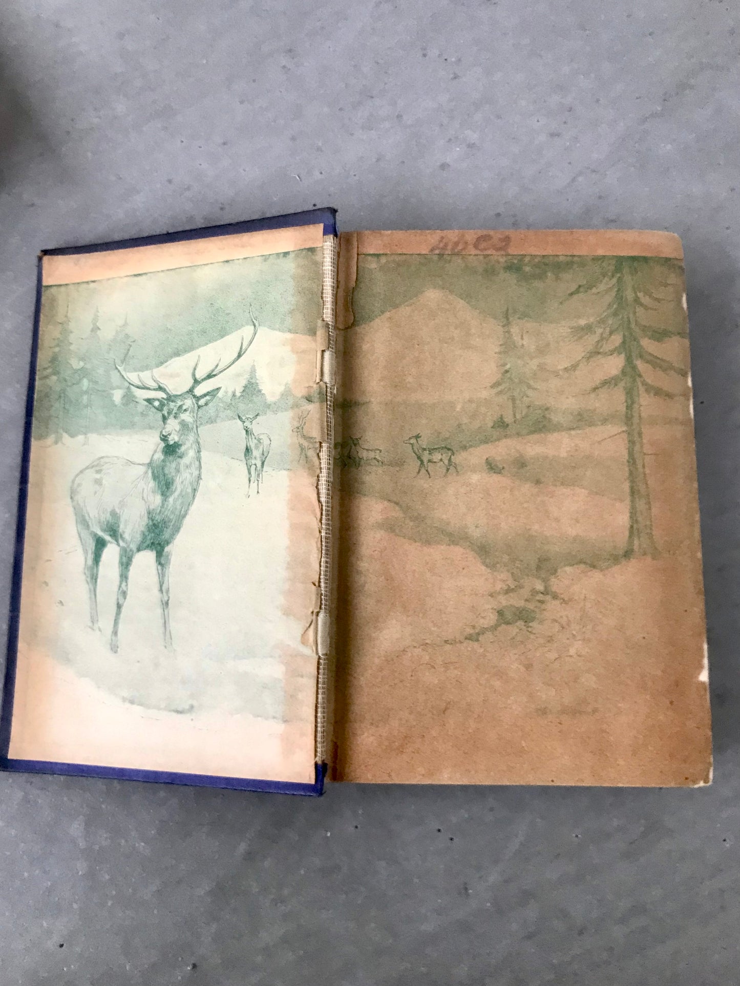 Antique rare 1910 illustrated edition of Alice in Wonderland by Louis Carroll