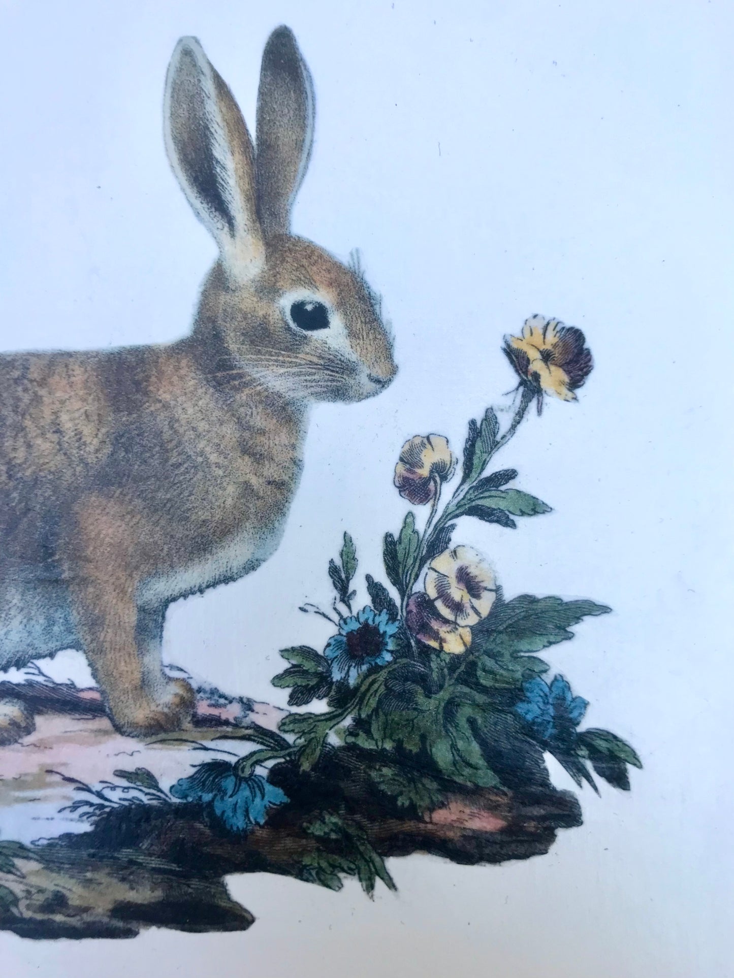 Children's personalised upcycled wooden school chair - Field Rabbit theme