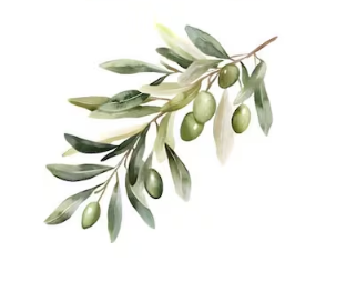 Commission for Sebastian - children's personalised chair