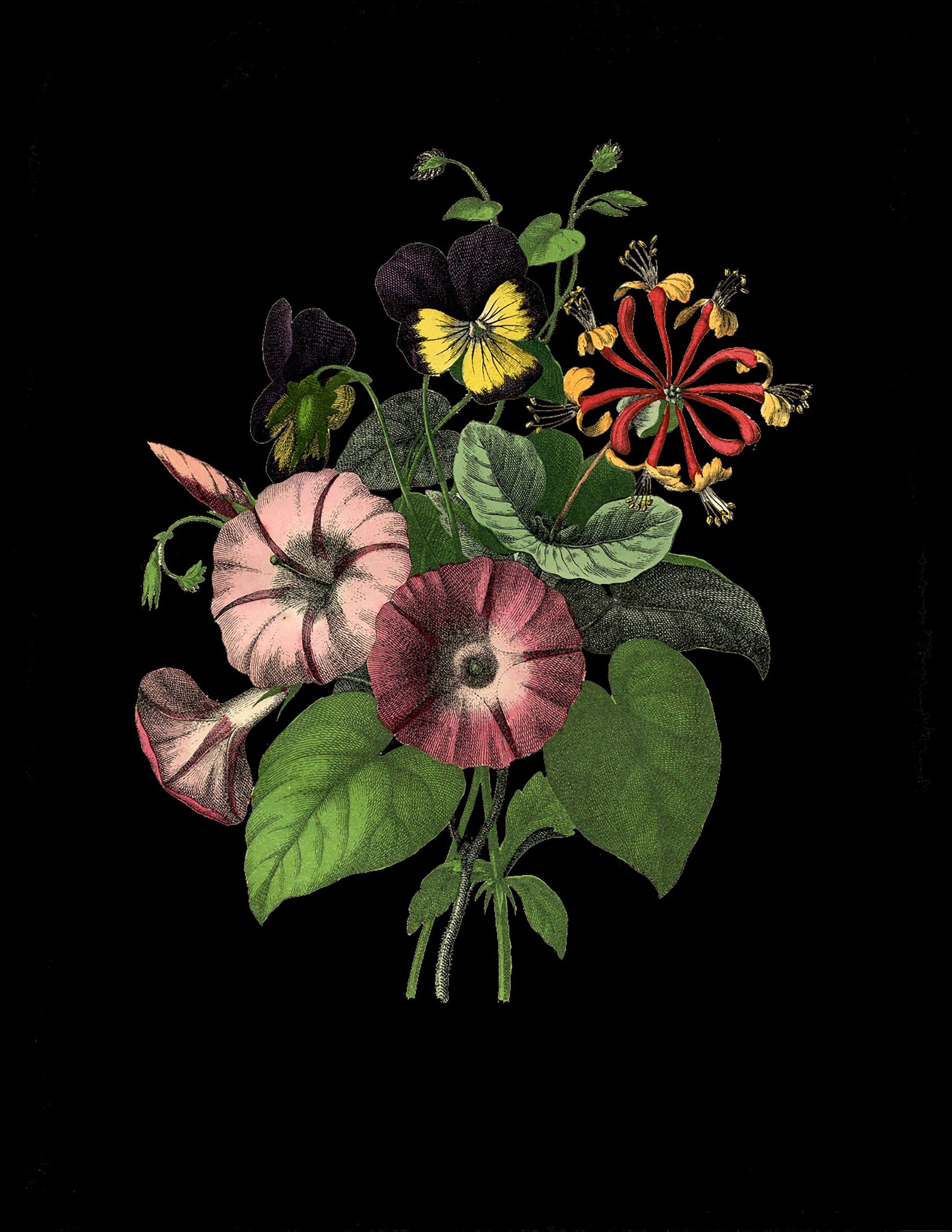 Botanical Flowers blank greetings card