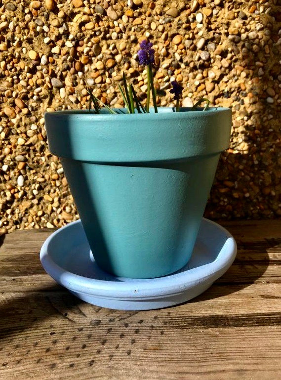 Hand painted terracotta plant pots in your choice of colours indoor or outdoor