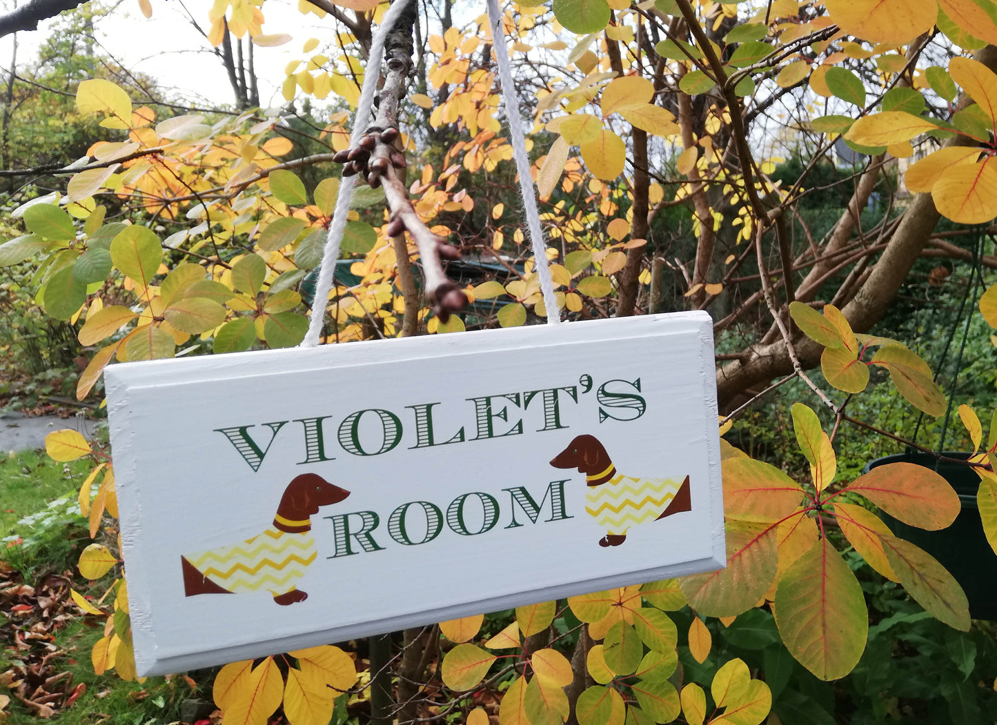 Personalised children's door room sign - made to order you choose the theme