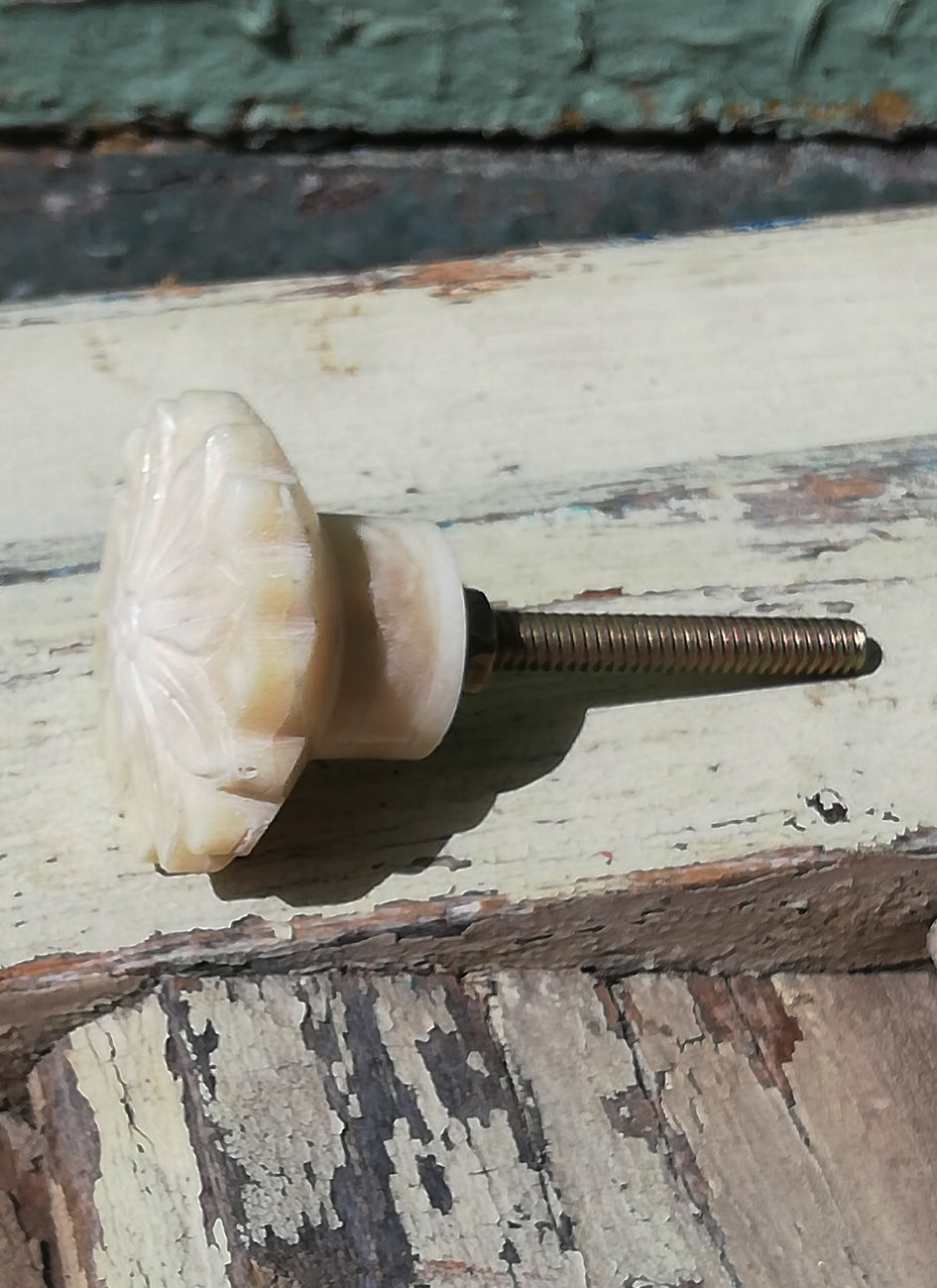 Cream Sunflower Cabinet Knob