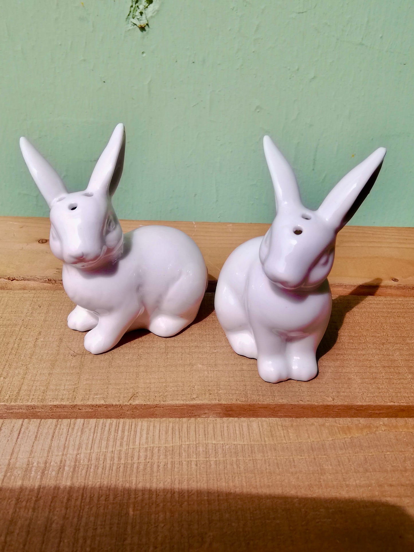 Cute new rabbit salt and pepper pots