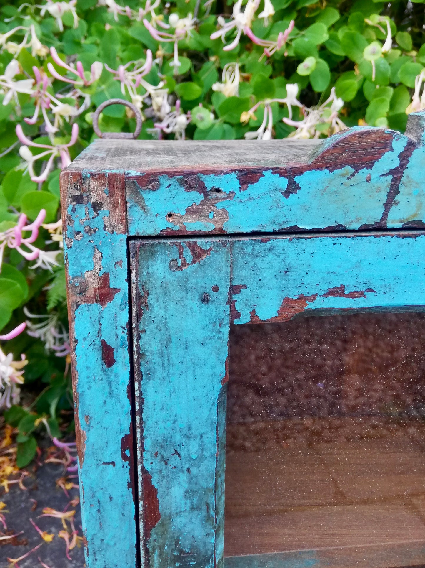 Beautiful antique teak painted glass fronted Indian wall cabinet with original blue chippy paint