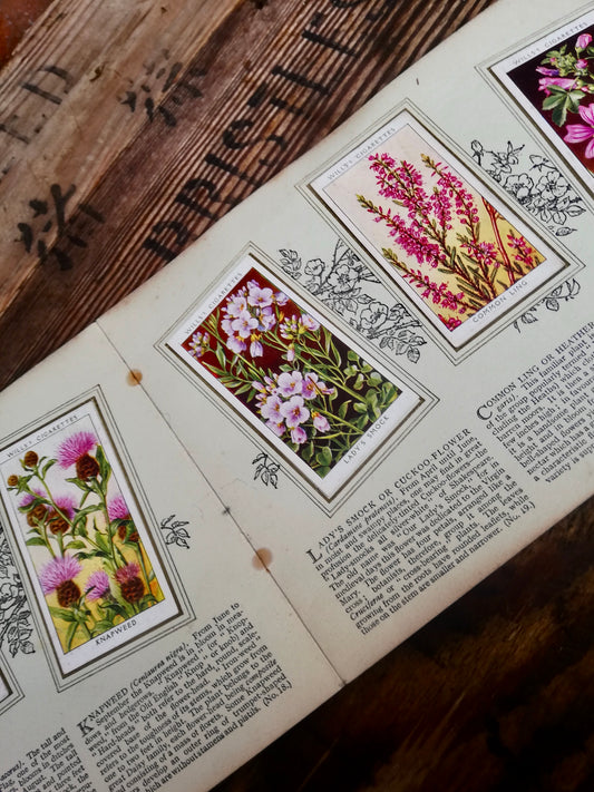 Gorgeous vintage cigarette card book - Wildflowers