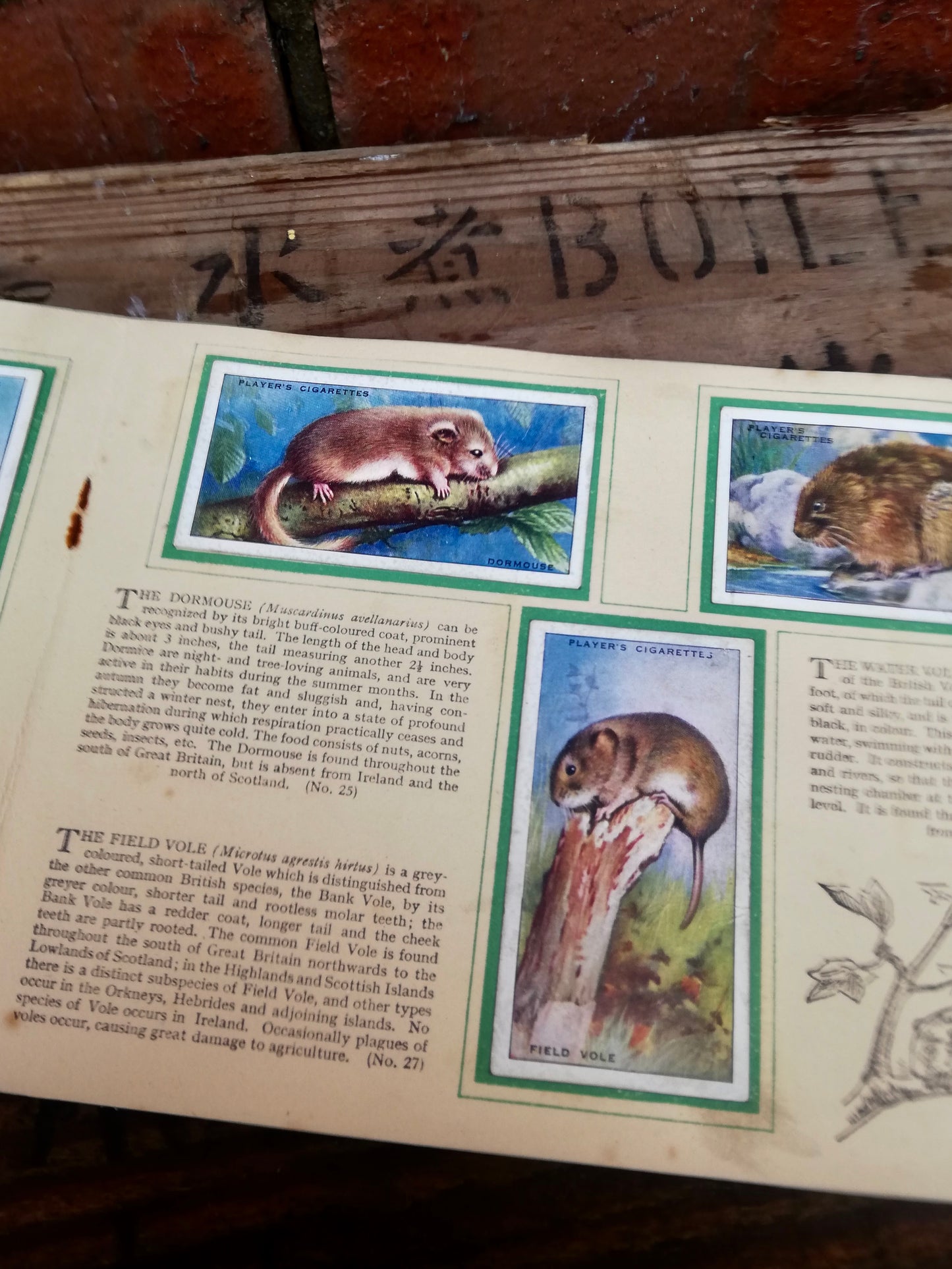 Gorgeous vintage cigarette card book - Animals of the Countryside