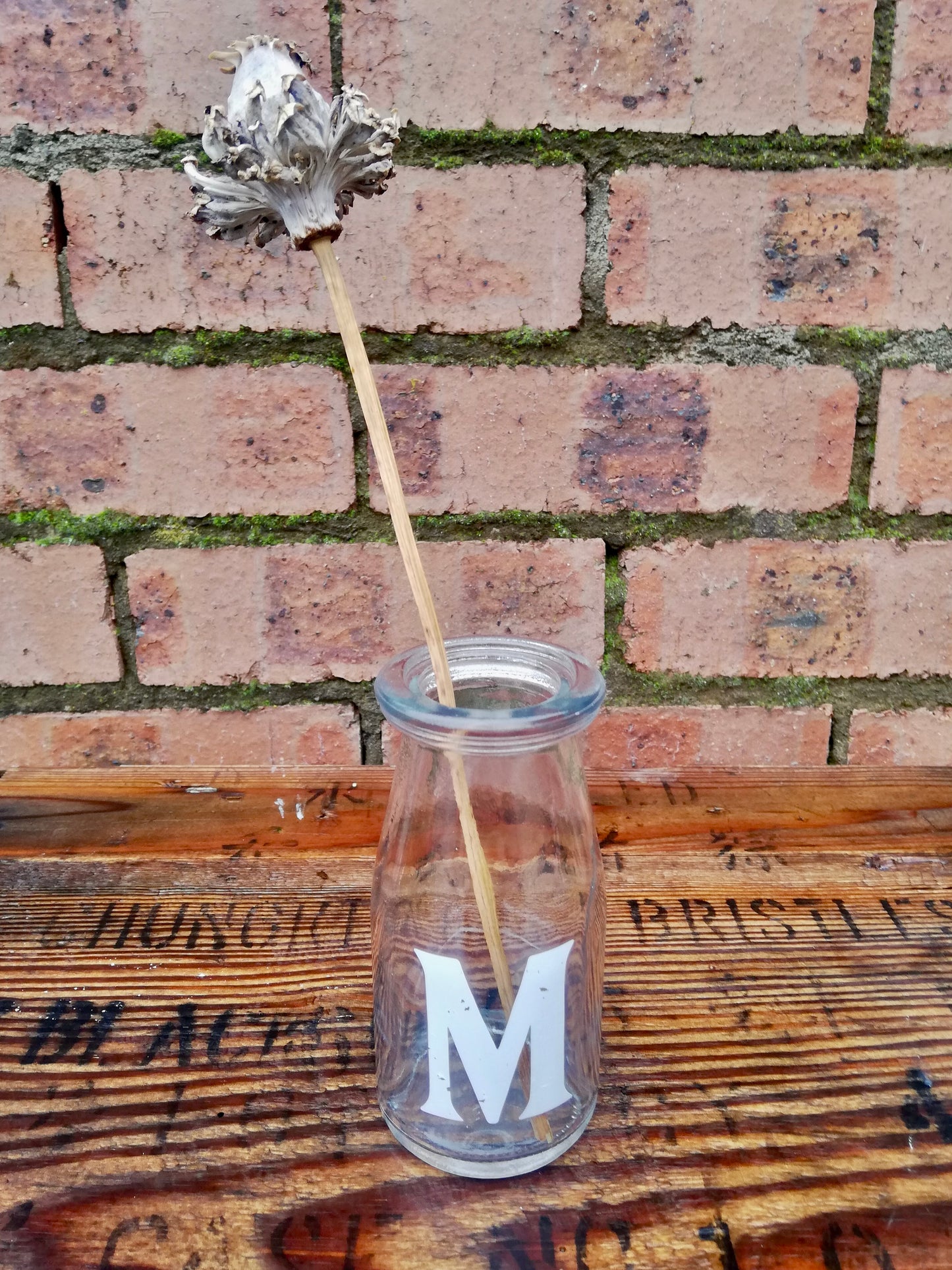 Vintage M initial milk glass bottle bud vase with dried poppy head