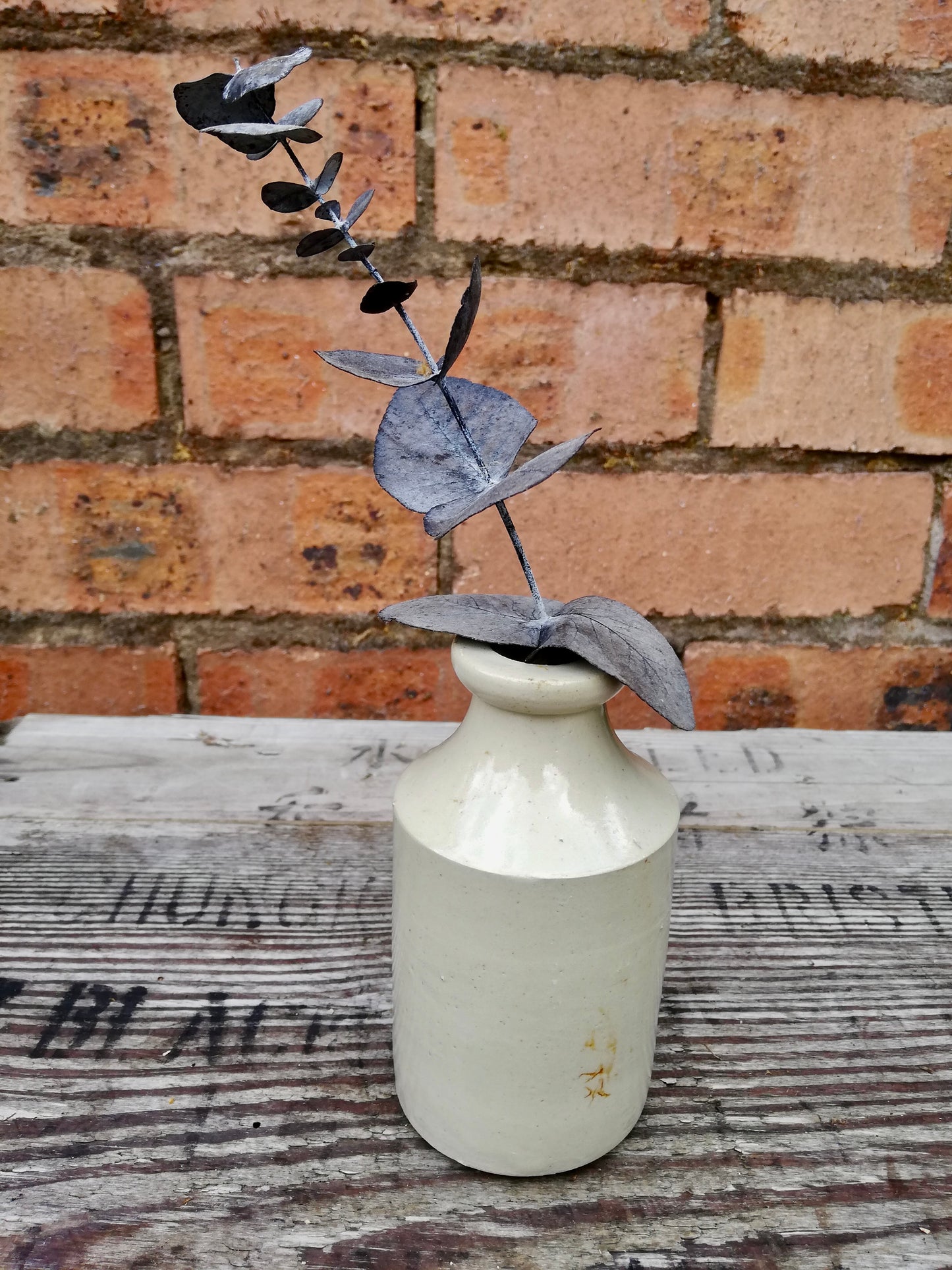 Vintage stoneware bud vase with preserved eucalyptus stem