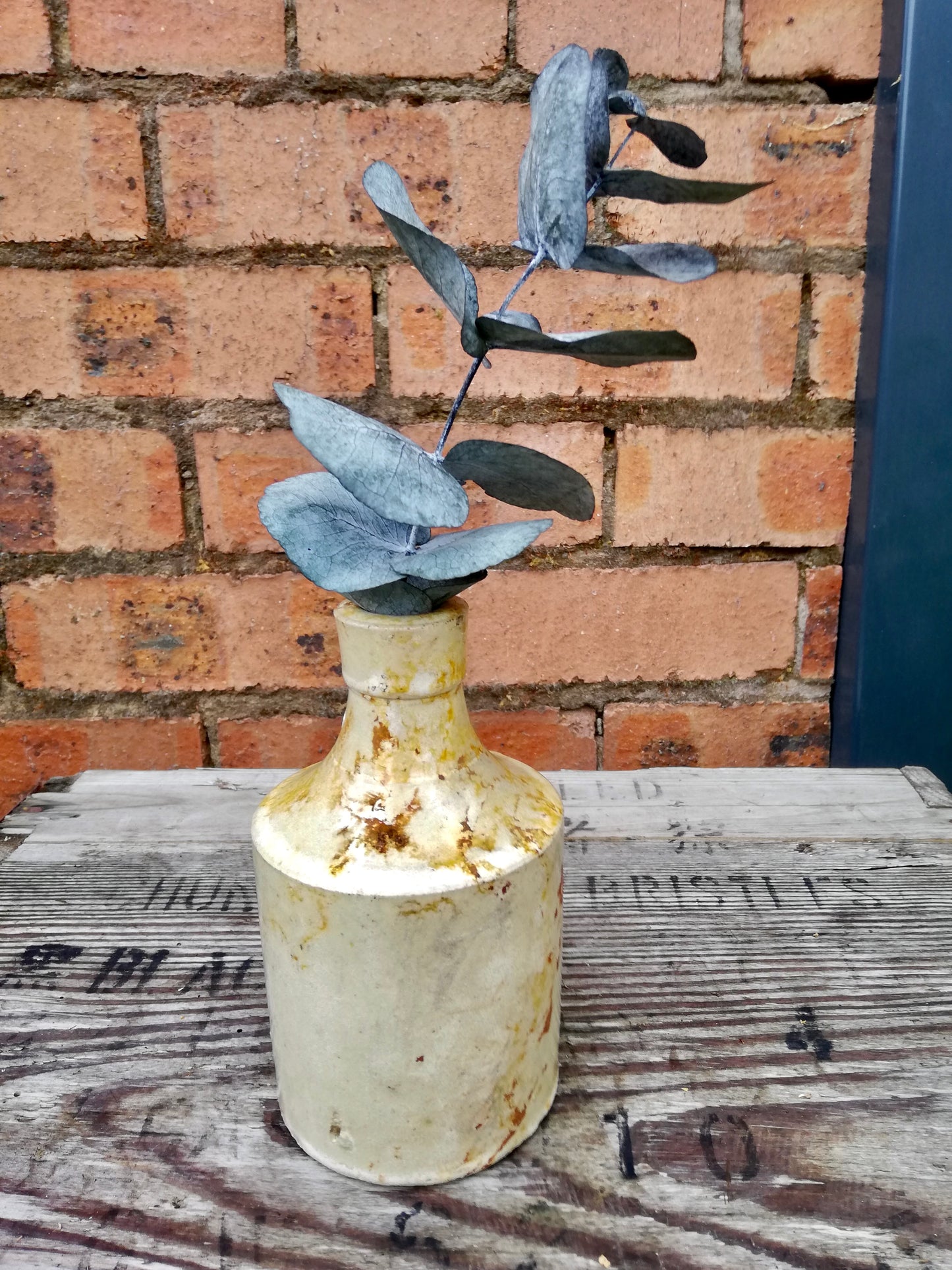 Vintage stoneware bud vase with preserved eucalyptus stem