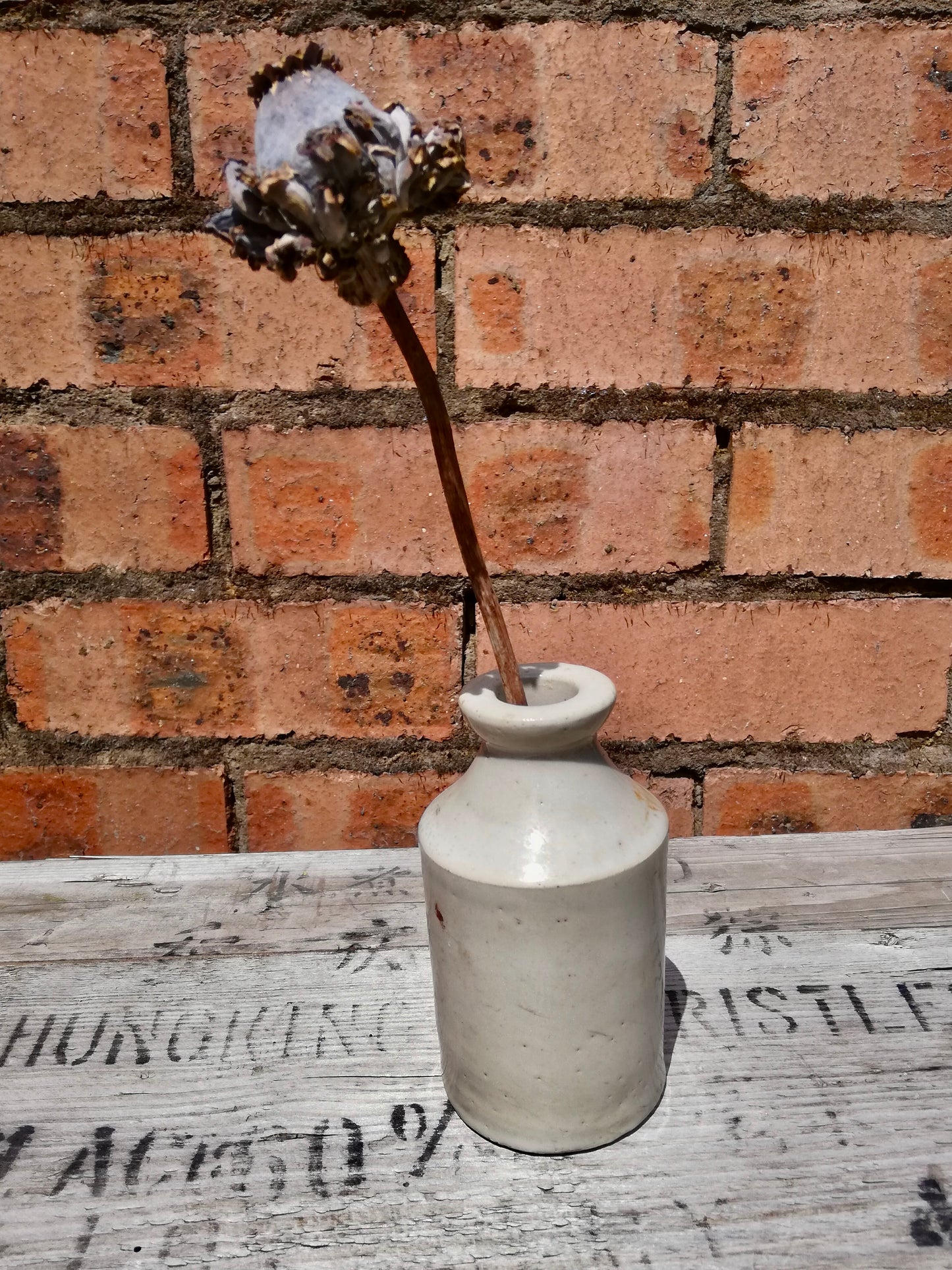 Vintage stoneware bud vase with dried poppy seed head