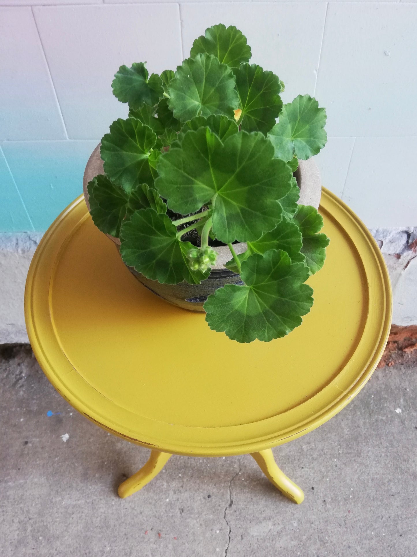 Vintage Wooden Plant Stand / side table painted in mustard