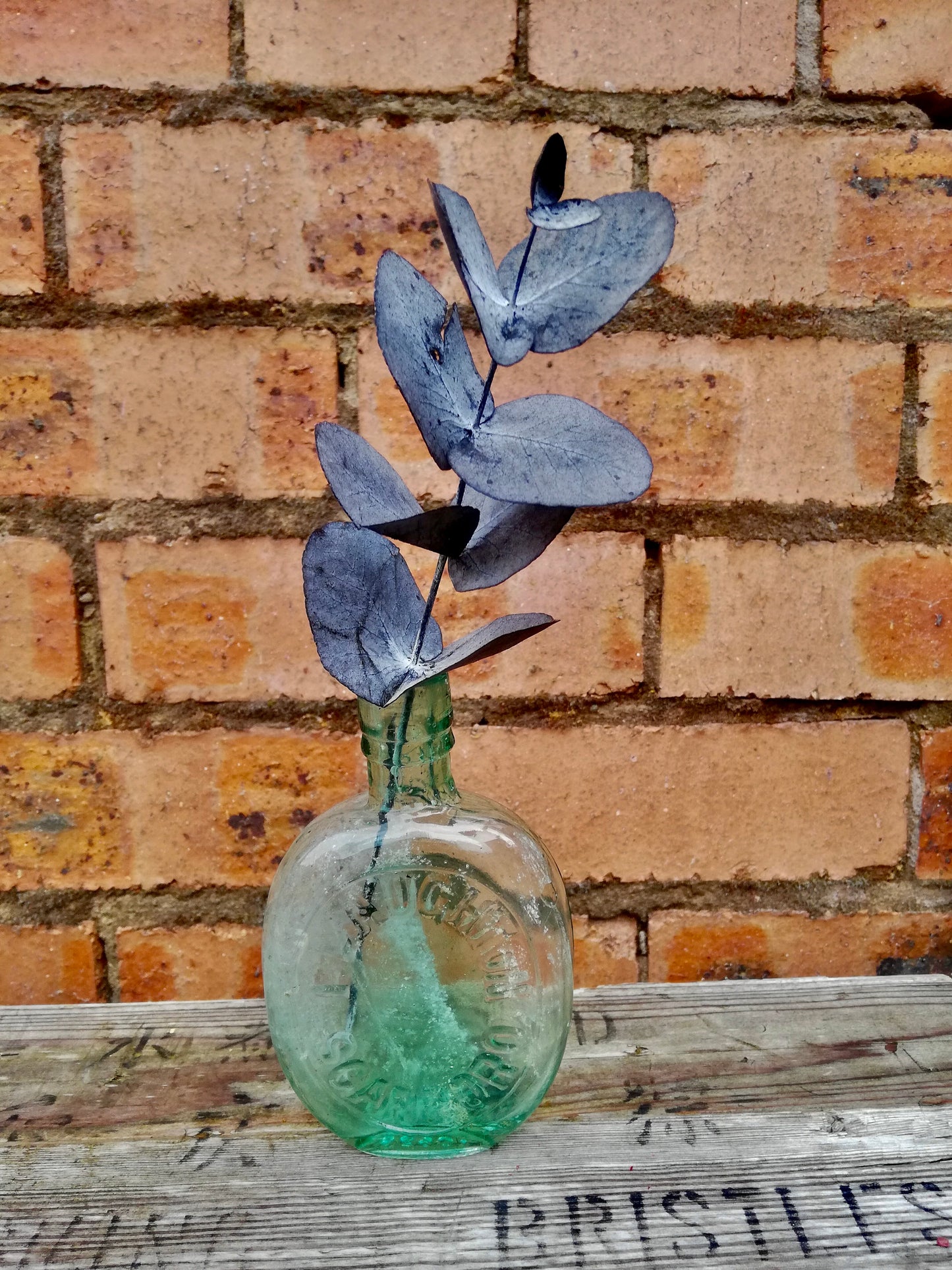 Lovely Vintage round glass bottle / bud vase with preserved eucalyptus stem