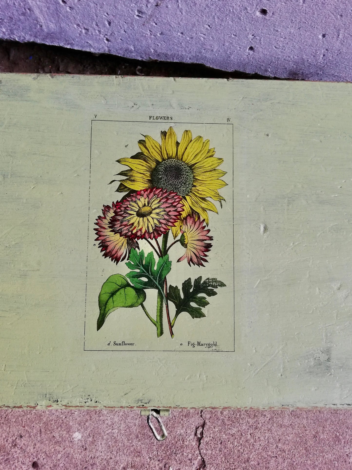 Vintage dinky wooden lidded box in green with vintage sunflowers