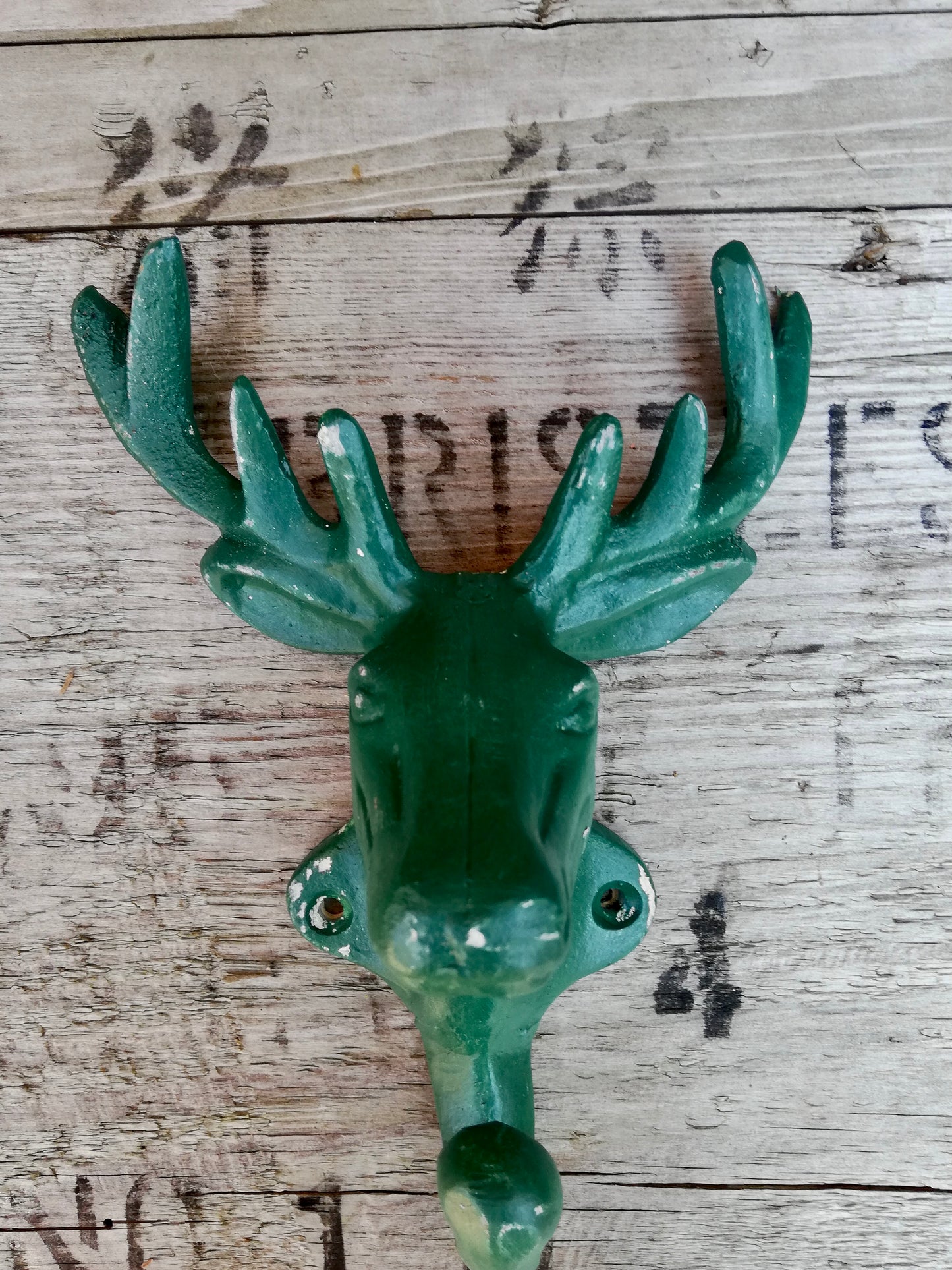 Large metal stag head wall hooks