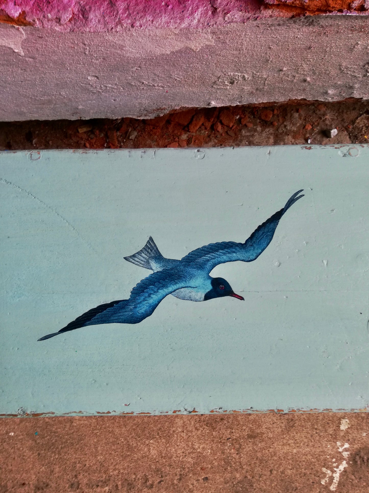 Vintage wooden lidded box painted in milk paint with seagull