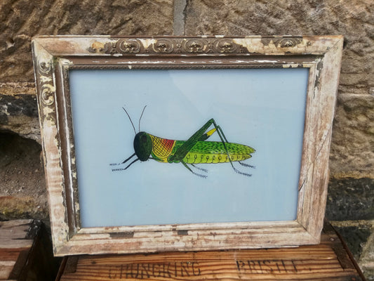 Large Vintage glass painting of a grasshopper / cricket in a beautiful original frame