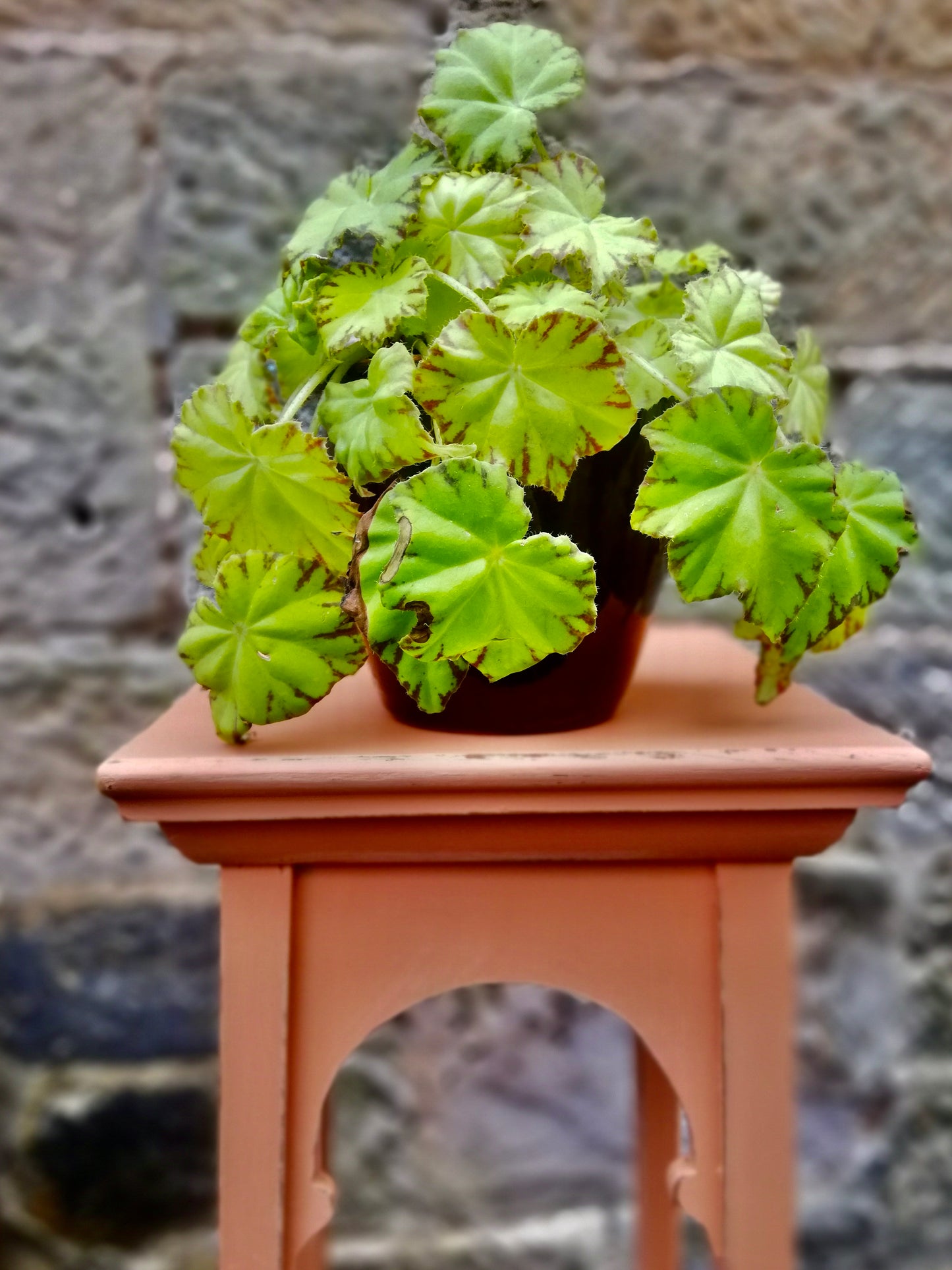 Vintage Wooden Plant Stand painted in soft terracotta and distressed for a vintage finish