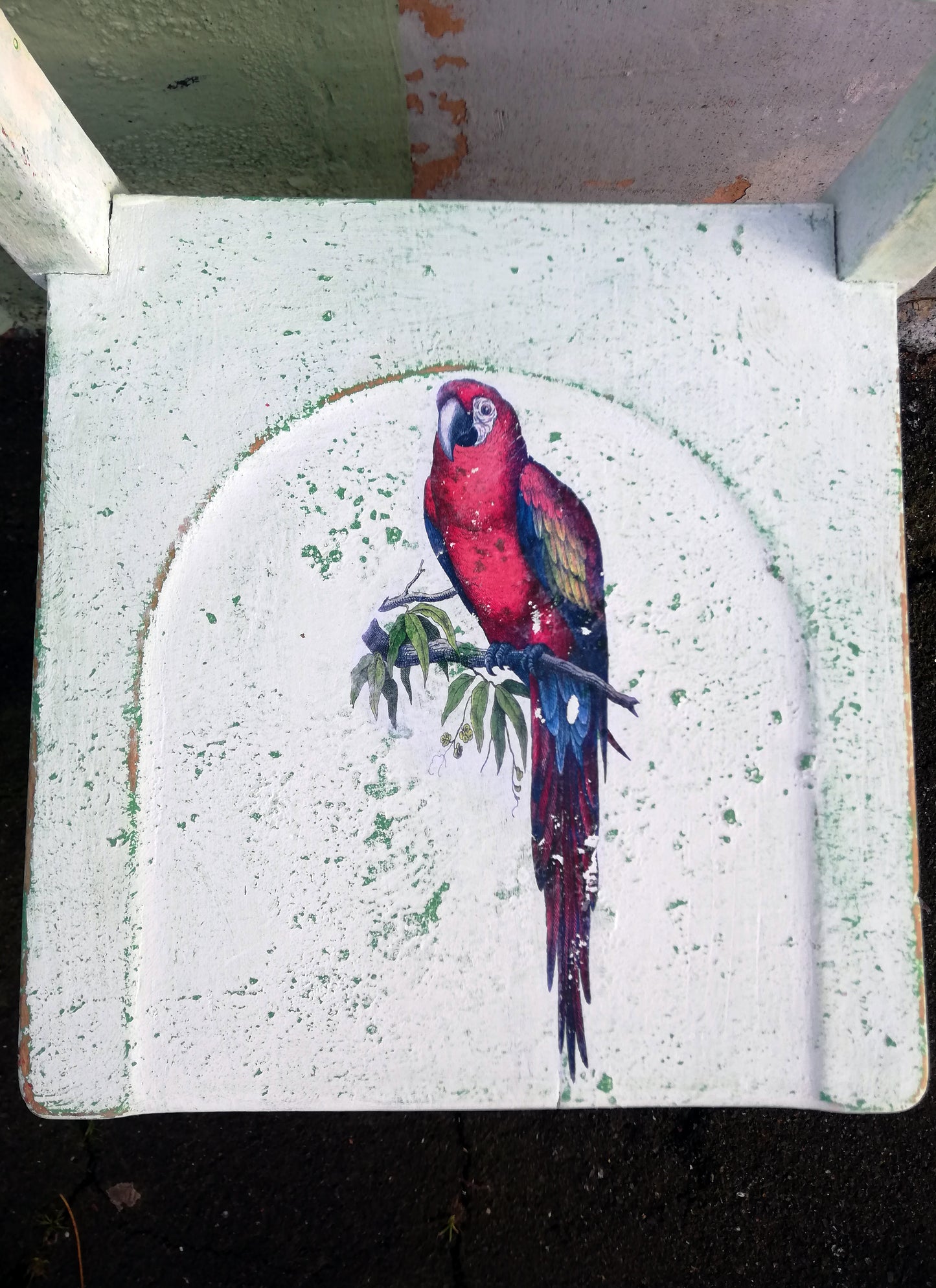 Little children's school chair transformed with saltwash with a vintage parrot design