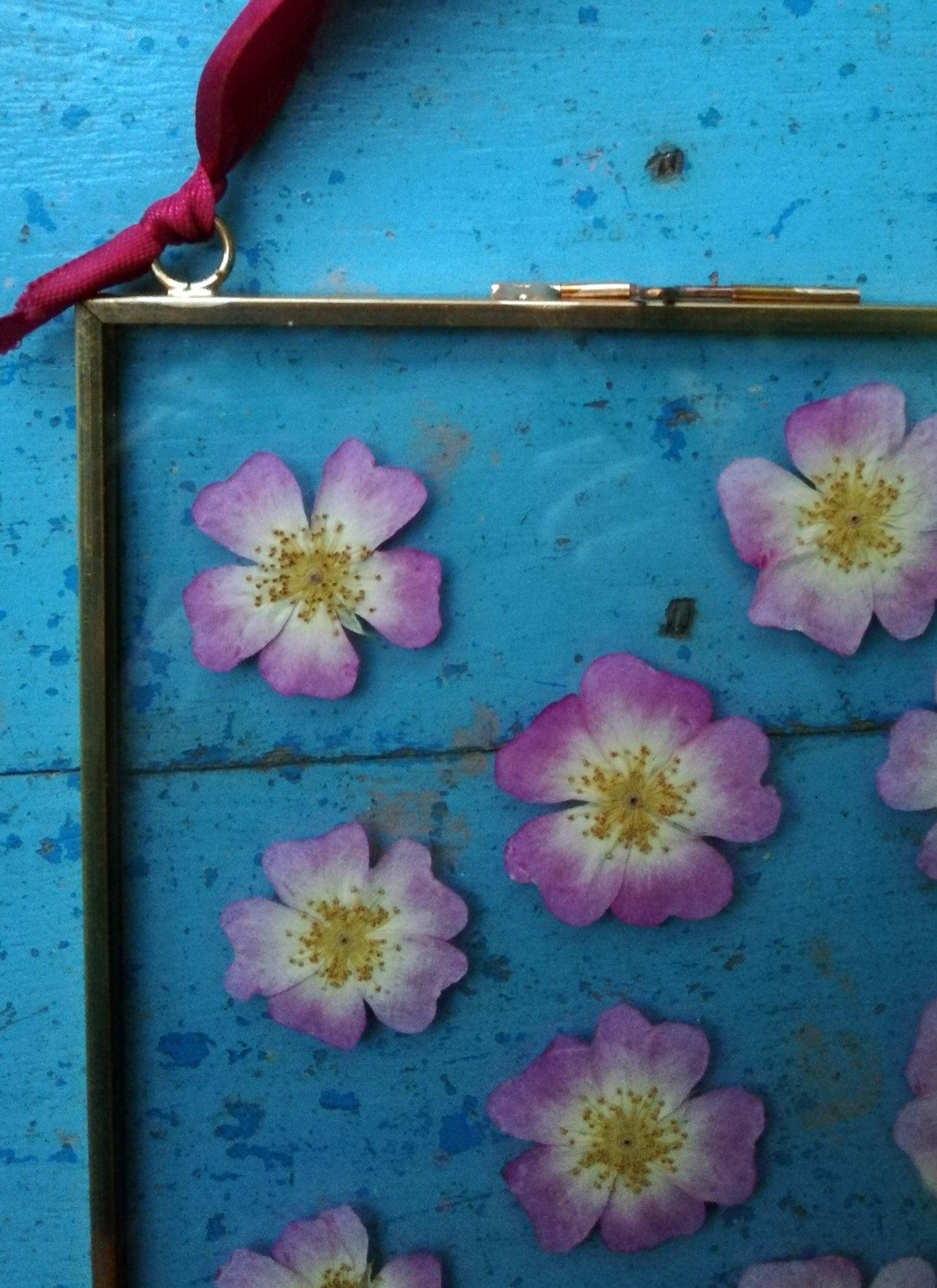 Pressed Flower Glass Frames.