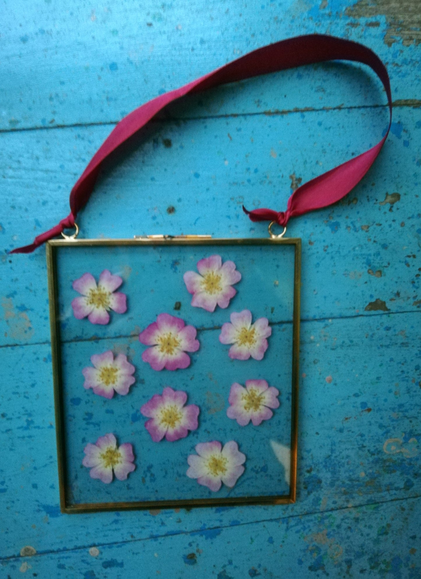 Pressed Flower Glass Frames.