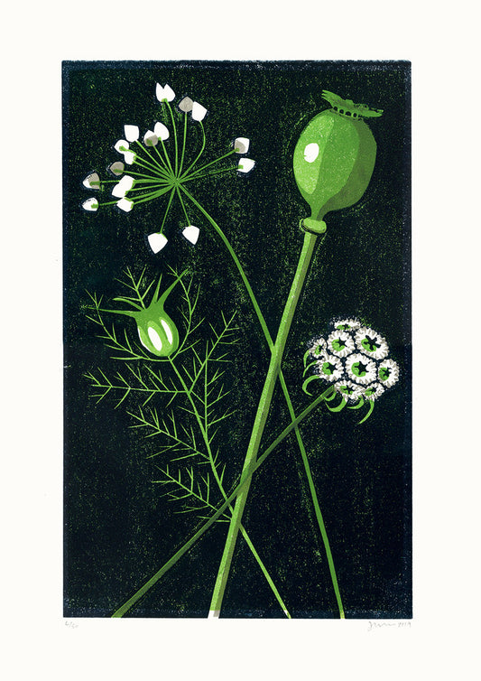 Seed Heads STILL LIFE LINO PRINT by James Brown