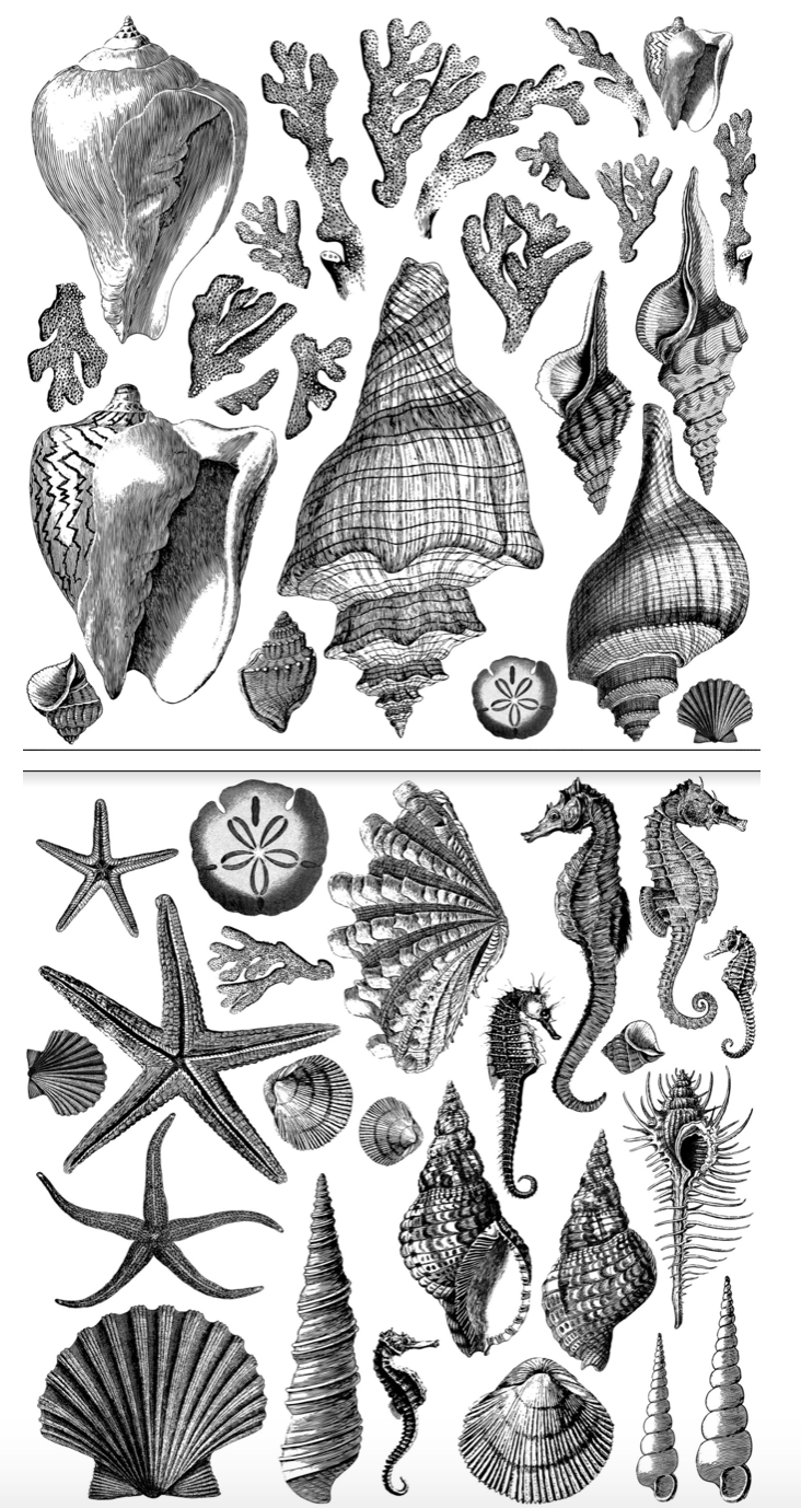 Iron Orchid Designs - The Stamps