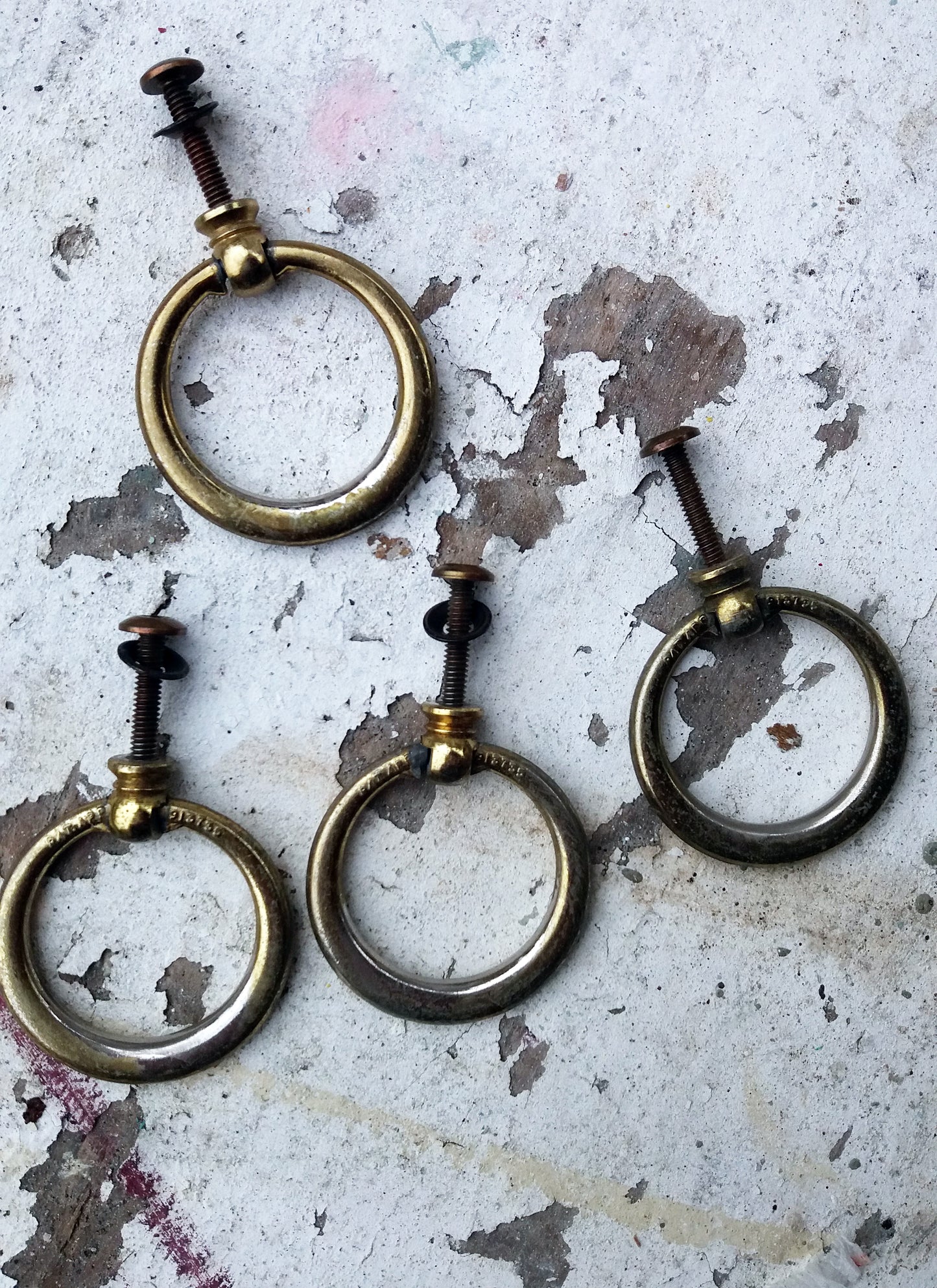 Stag cabinet handles ring shape 5 available
