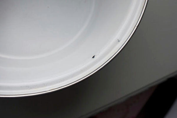 Vintage 1960's Swan enamel casserole dish blue and white retro design from Emily Rose Vintage