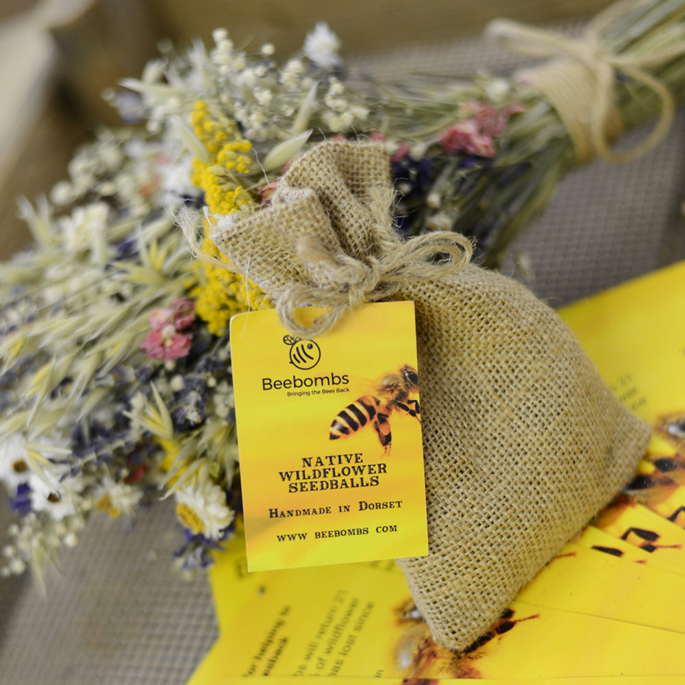Pack of native wildflower bee bombs