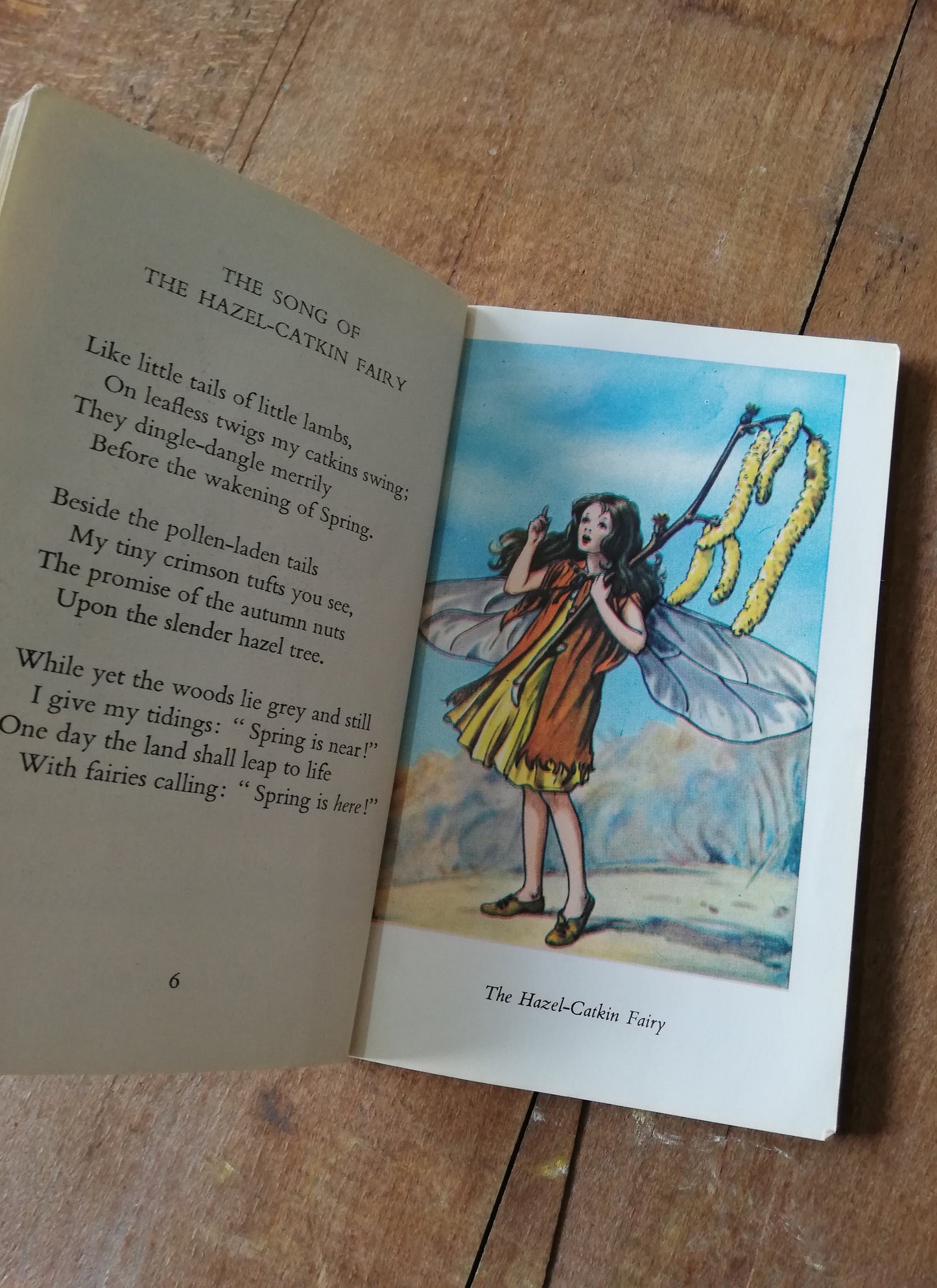 Gorgeous colourful little flower fairies book