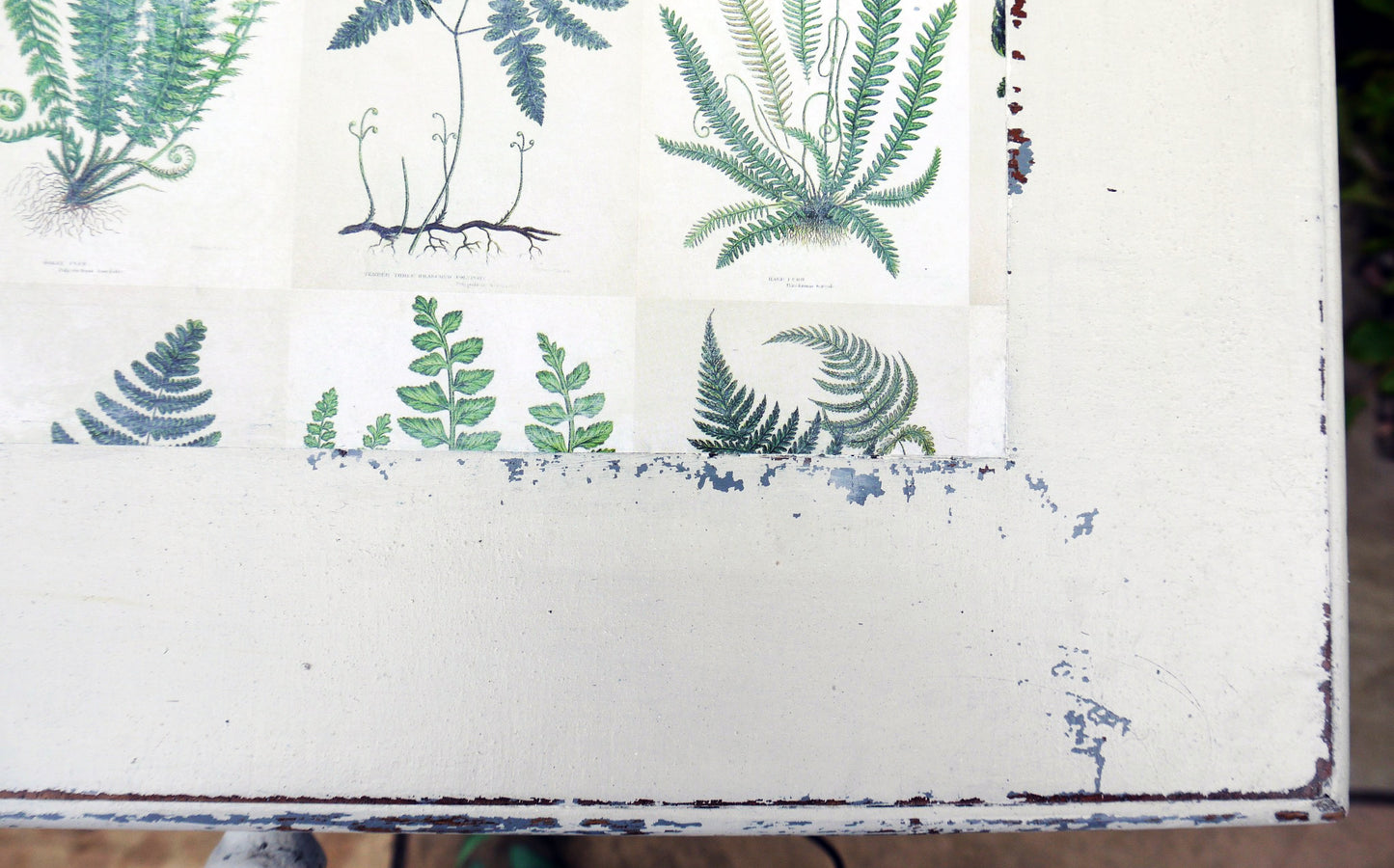 Vintage writing desk painted in chippy miss mustard seed milk paint grain sack grey layered with Bergere and a botanical fern design