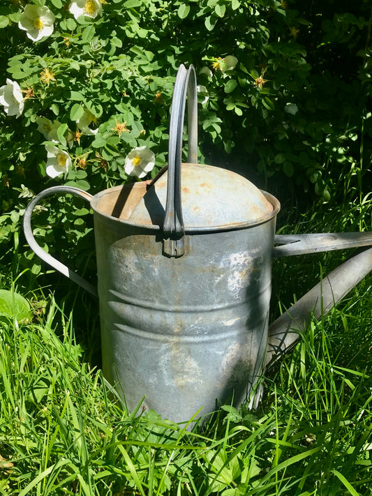 Vintage galvanised watering can