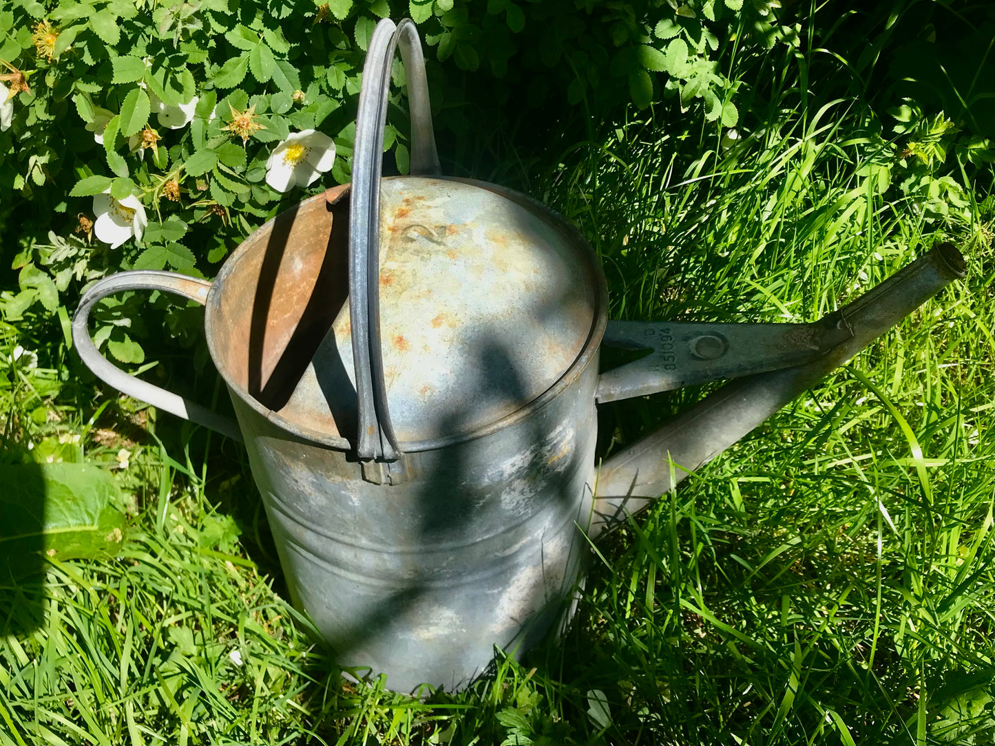 Vintage galvanised watering can
