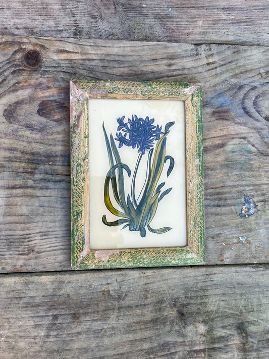 Vintage glass painting of an agapanthus flower in a beautiful original frame