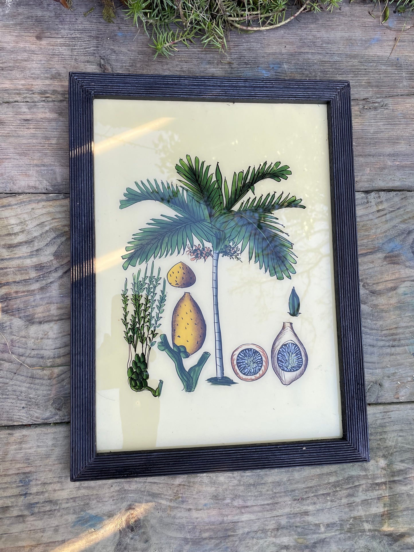 Large Vintage glass painting of a tropical scene in a beautiful original frame