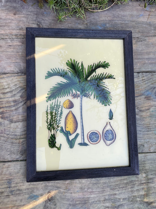 Large Vintage glass painting of a tropical scene in a beautiful original frame