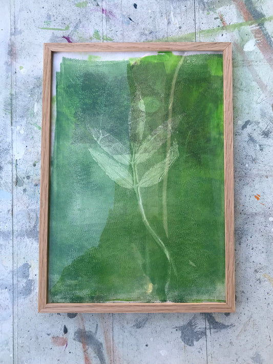 Original Botanical Acrylic Monoprint - Linn Leaf 1