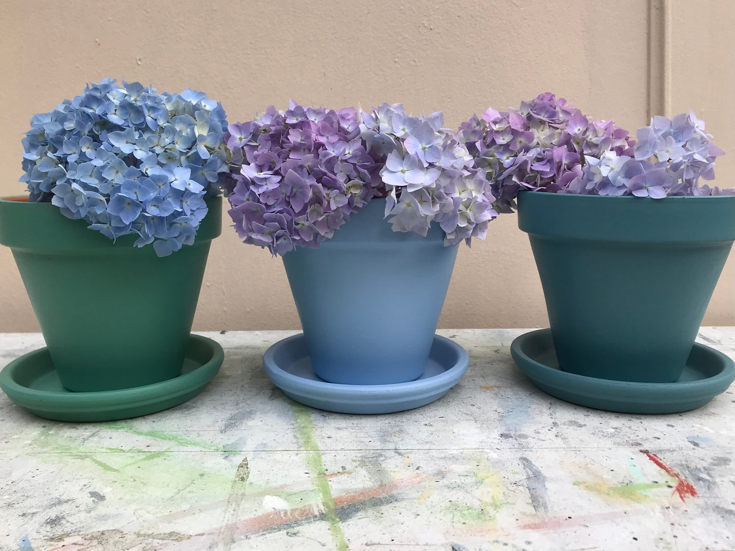 Hand painted terracotta plant pots in your choice of colours indoor or outdoor