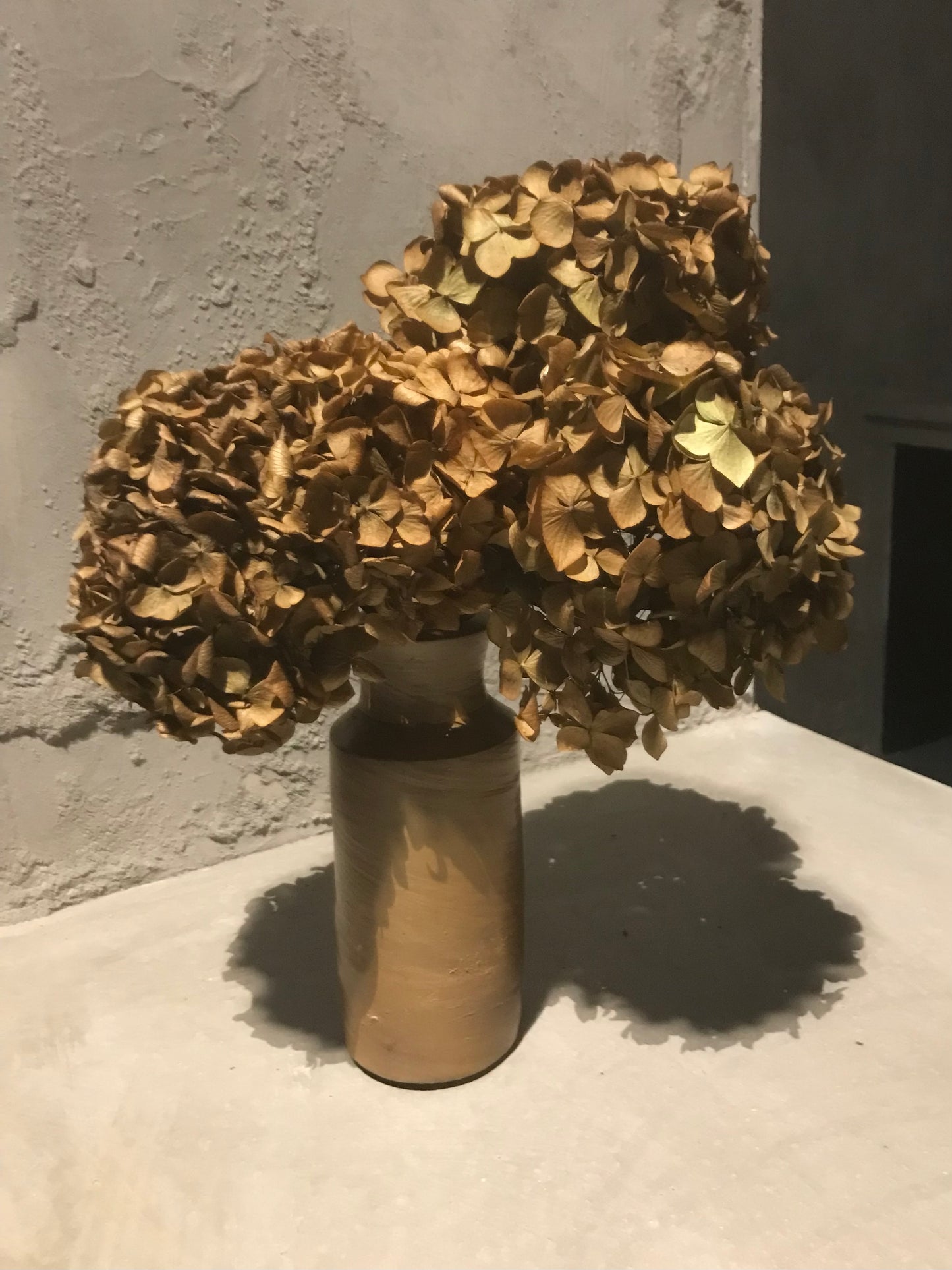 Dried Hydrangea flower heads sold in bunches of 3