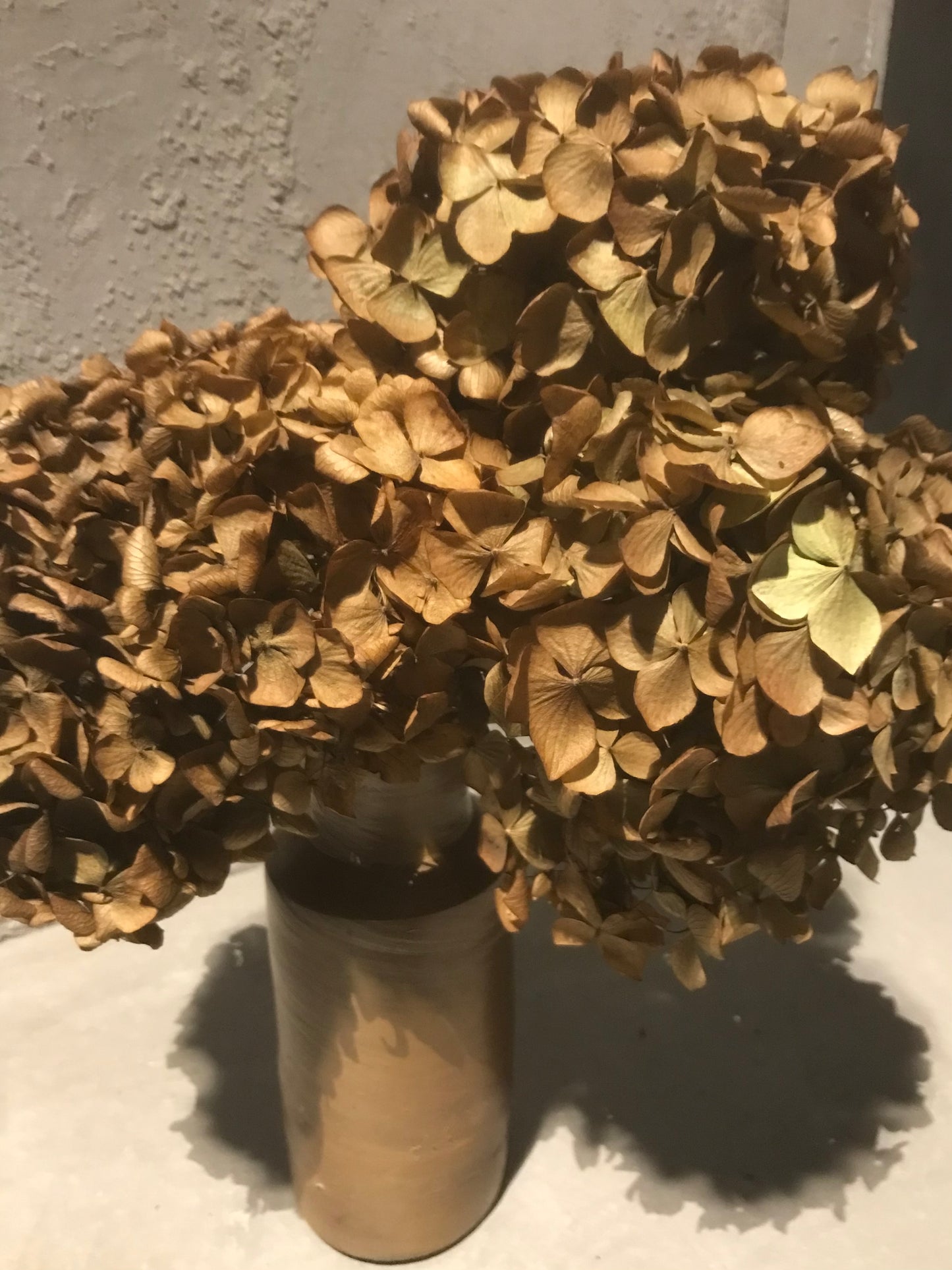 Dried Hydrangea flower heads sold in bunches of 3