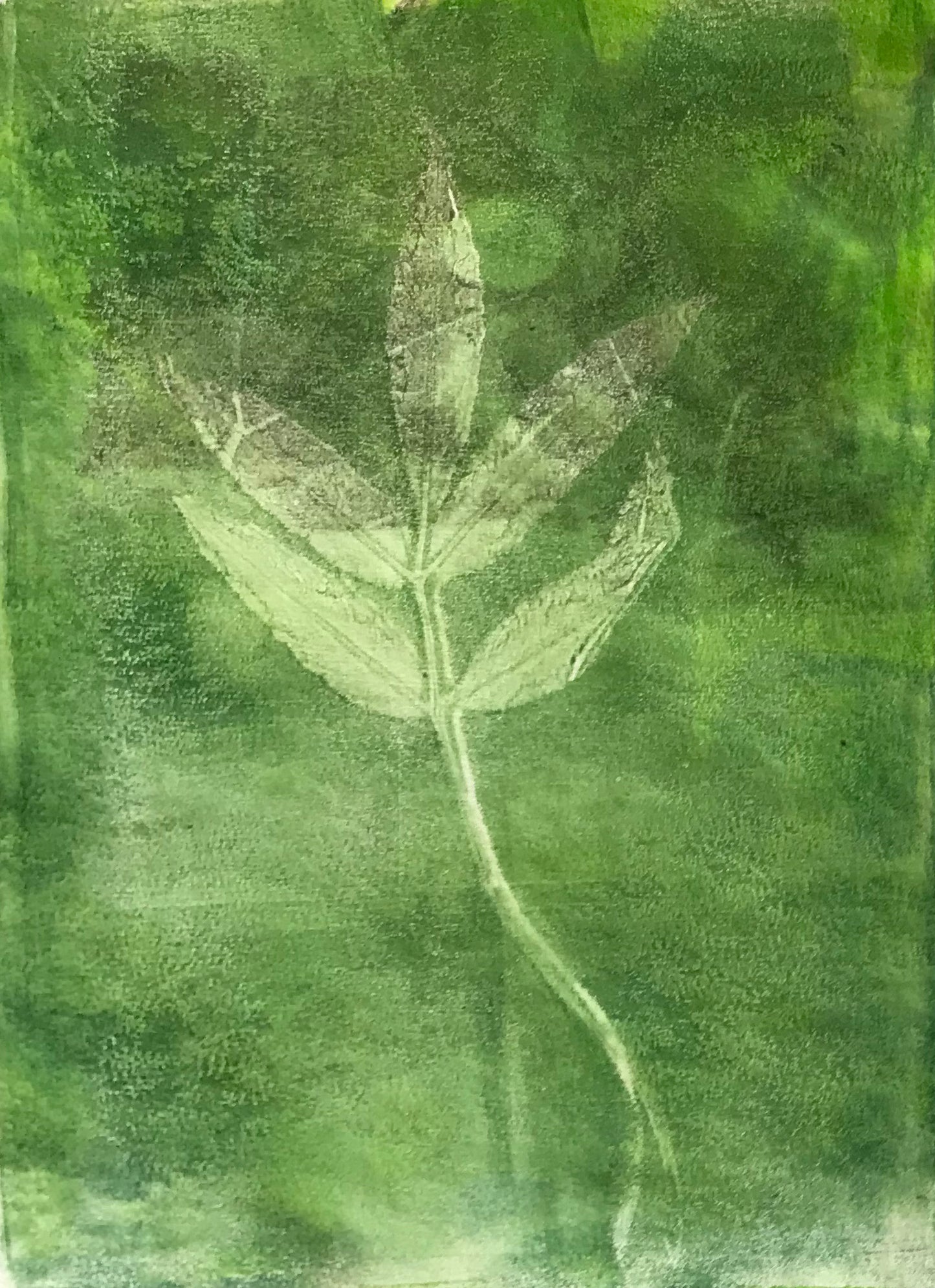 Original Botanical Acrylic Monoprint - Linn Leaf 1