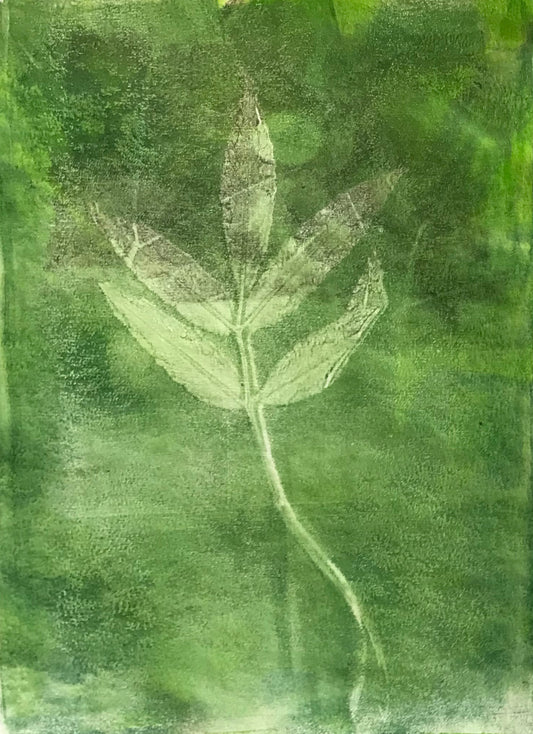 Linn Leaf 1 Art Print (from  Original Botanical Monoprint)