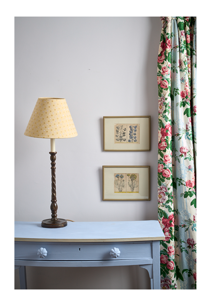 Annie Sloan  - Wall Paint